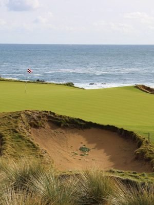 Ocean Dunes