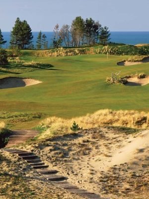Pacific Dunes