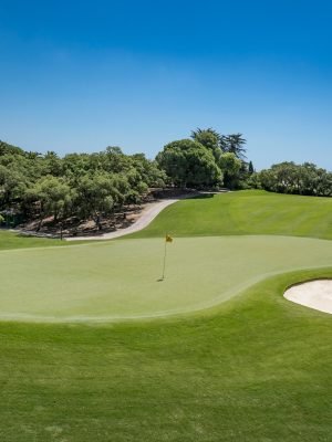 Sotogrande