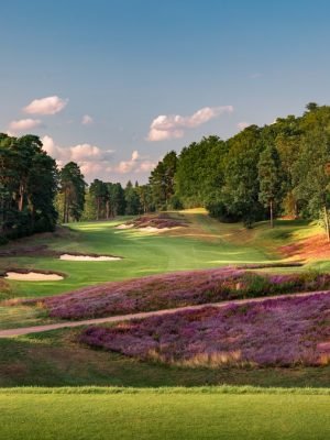 St. George’s Hill