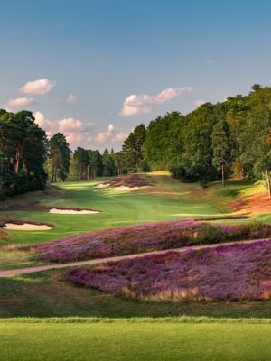St. George’s Hill