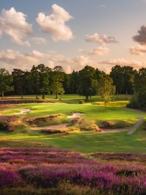 St. George’s Hill