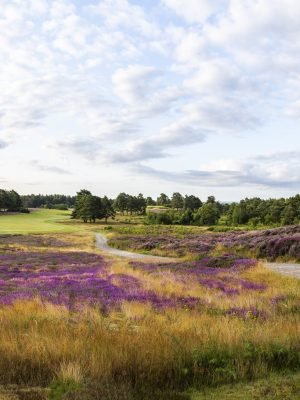 Sunningdale Golf Club