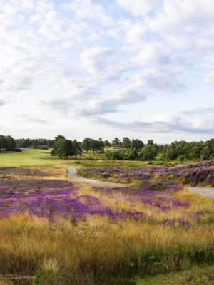Sunningdale Golf Club