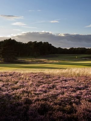 Walton Heath - Old course